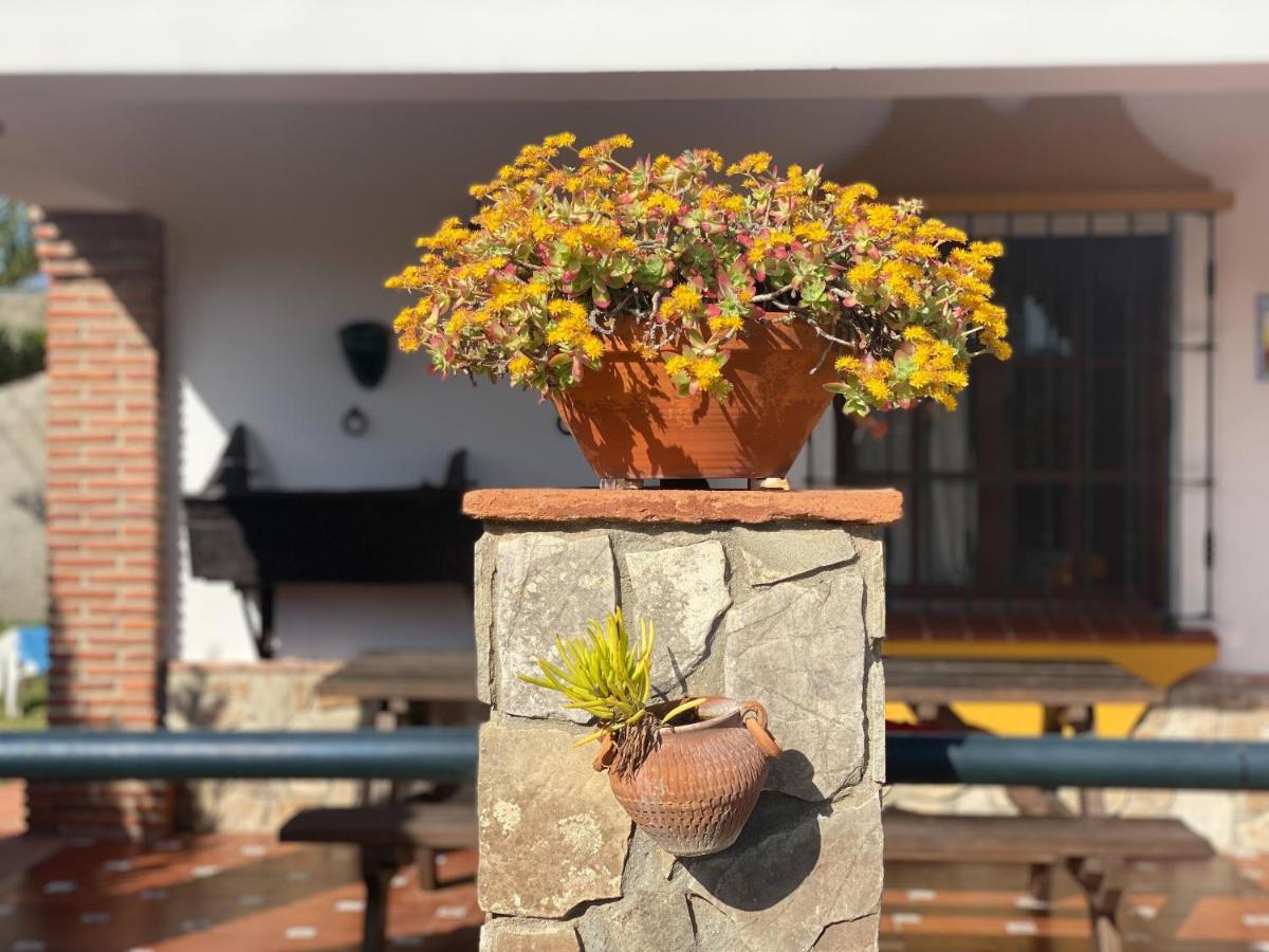 Casas Guemon Konuk evi Zahora Dış mekan fotoğraf