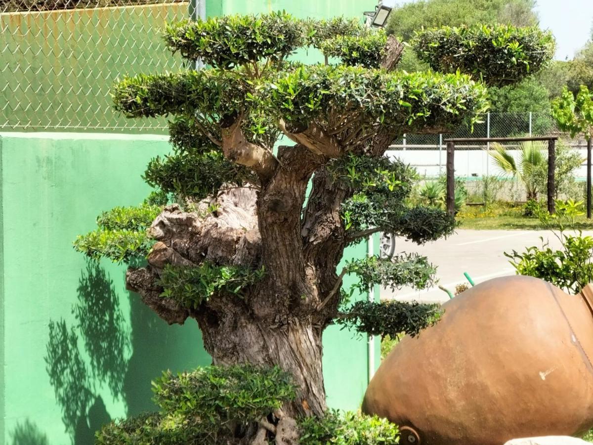 Casas Guemon Konuk evi Zahora Dış mekan fotoğraf